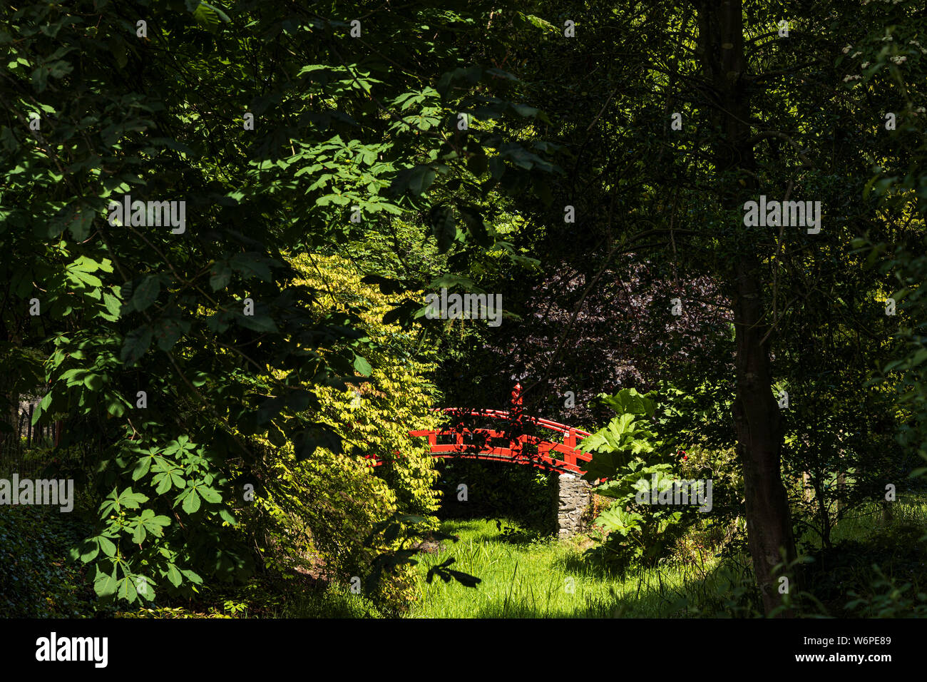 Red arched footbridge in Japanese style hidden through the trees at Russborough House and Parklands, Blessinton, County Wicklow, Ireland Stock Photo