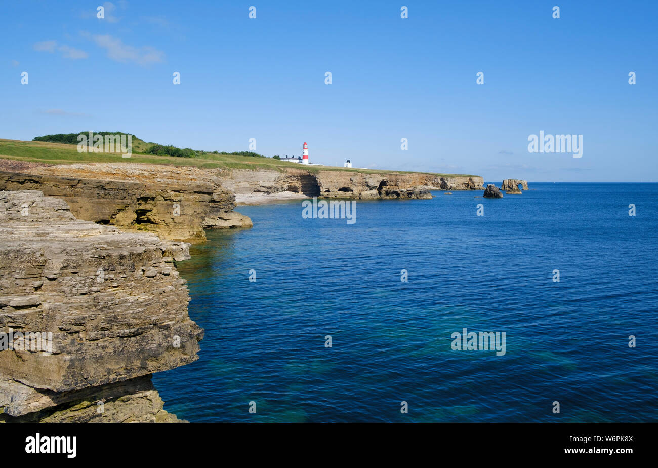 The rocky cliffs leading to Lizard Point  and the rock arch sea-stack on the South Tyneside coast  at at Souter between Whitburn and Marsden Stock Photo