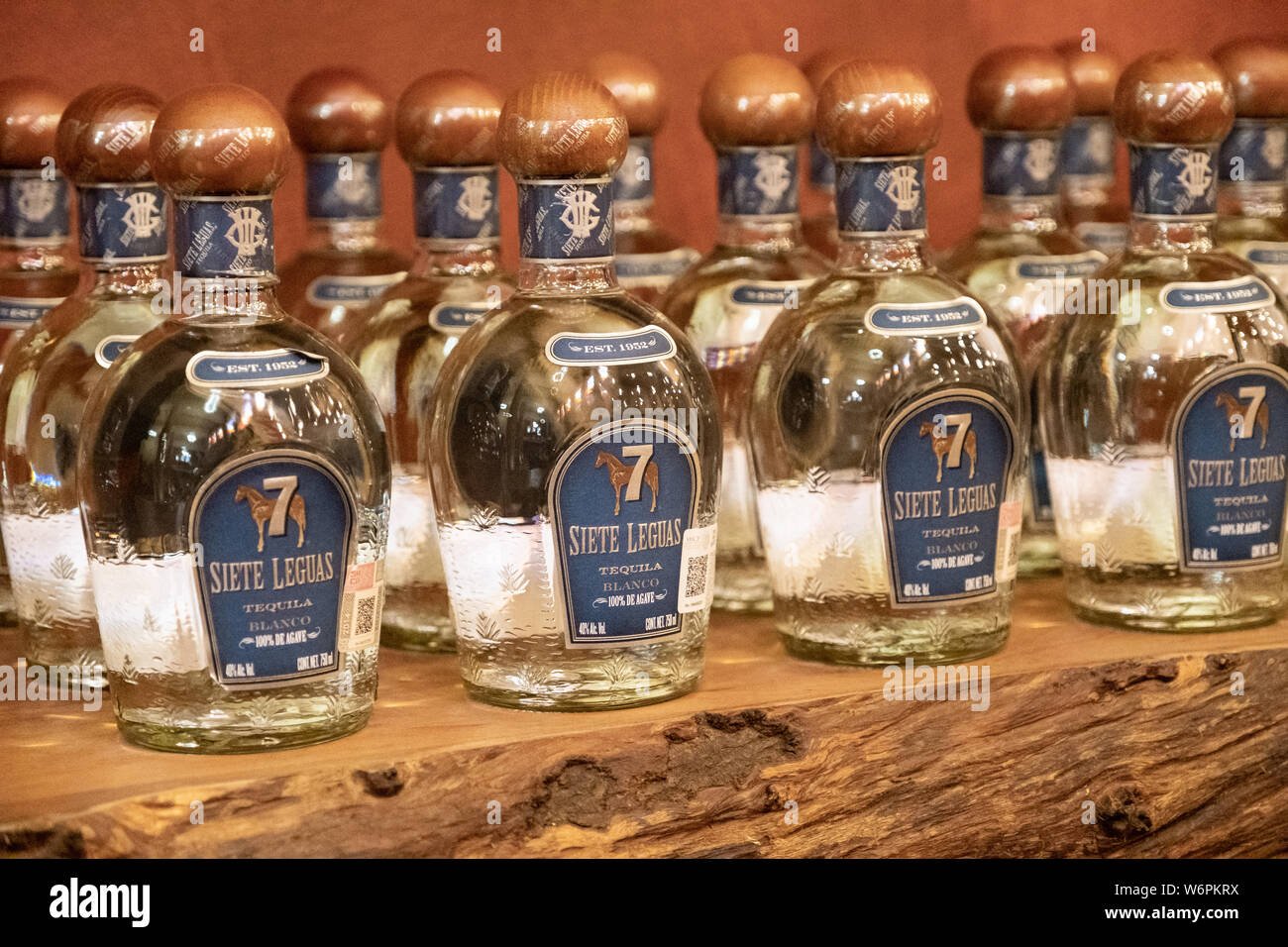 Bottles of white tequila in the tasting room inside the Casa Siete Leguas, El Centenario tequila distillery in Atotonilco de Alto, Jalisco, Mexico. The tequila is aged from 2-12 years in white oak barrels that once held American Kentucky Bourbon. The Seven Leagues tequila distillery is the oldest family owned distillery producing authentic handcrafted tequila using traditional methods. Stock Photo