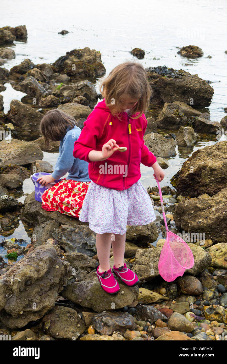 Girl / girls / kid with fishing net / kids / child with bucket / children hunt in coastal rock pools and rocks on the Devon coast for shells shellfish, fish, shell, and even fossils in trapped-In rock pool seawater while the tide is out. UK (110) Stock Photo