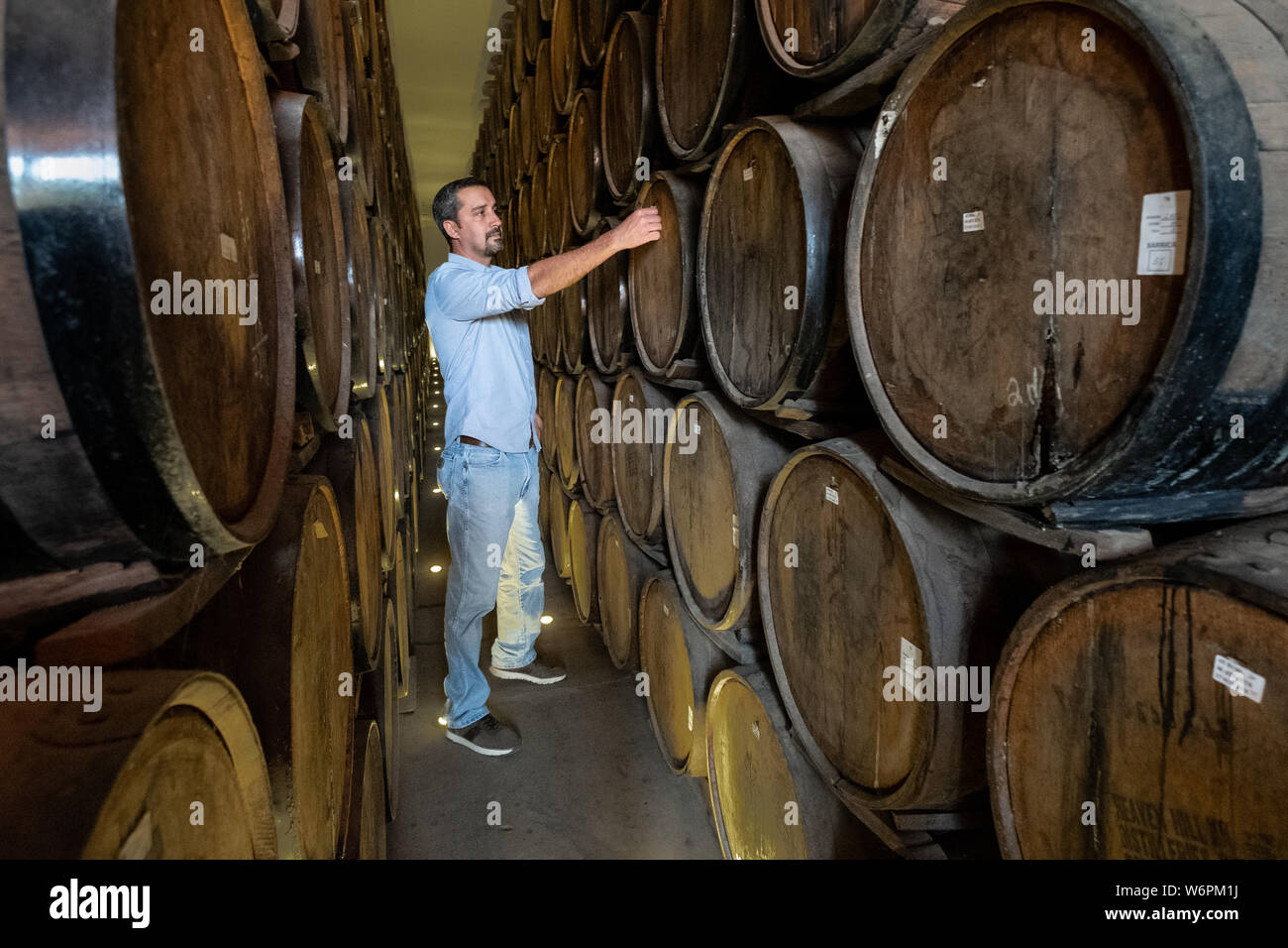Beto Hernandez, grandson of the founder, inspects tequila aging in the barrel room at the Casa Siete Leguas, El Centenario tequila distillery in Atotonilco de Alto, Jalisco, Mexico. The Seven Leagues tequila distillery is the oldest family owned distillery producing authentic handcrafted tequila using traditional methods. Stock Photo