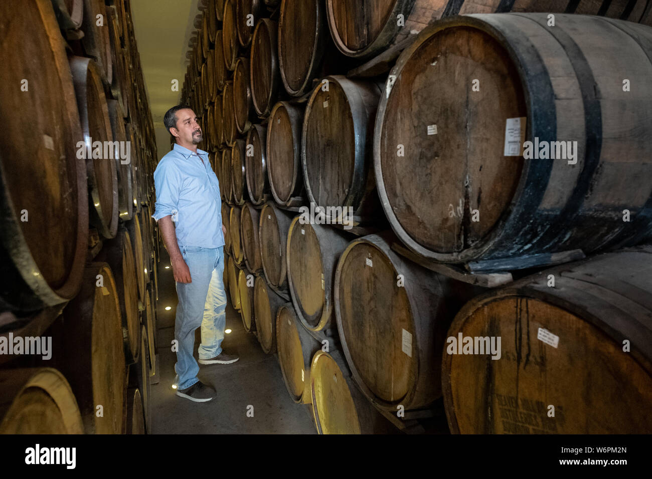 Beto Hernandez, grandson of the founder, inspects tequila aging in the barrel room at the Casa Siete Leguas, El Centenario tequila distillery in Atotonilco de Alto, Jalisco, Mexico. The Seven Leagues tequila distillery is the oldest family owned distillery producing authentic handcrafted tequila using traditional methods. Stock Photo