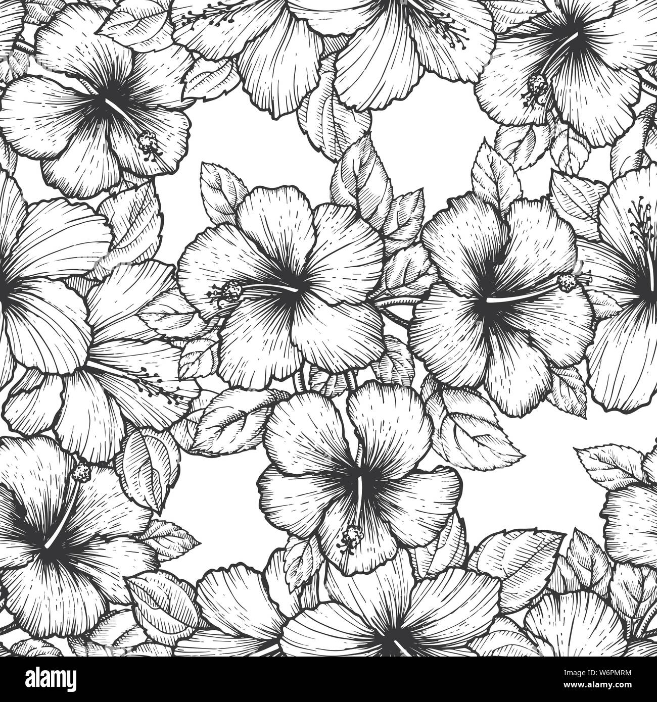 Hand drawn tropical hibiscus flower. Seamless floral pattern with ...
