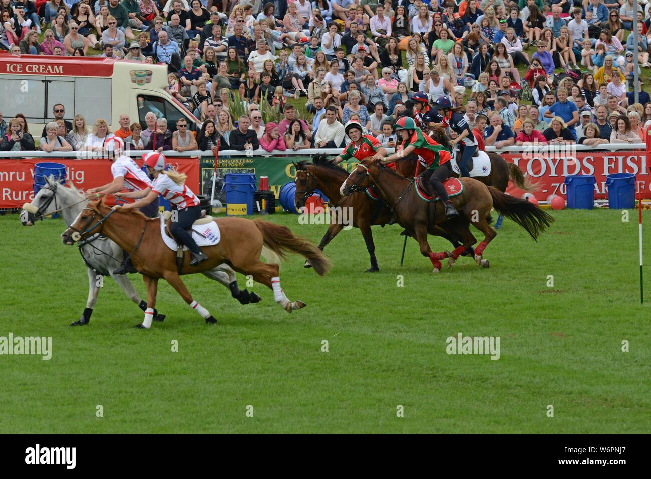 Teams from 7 countries compete in the international mounted games at