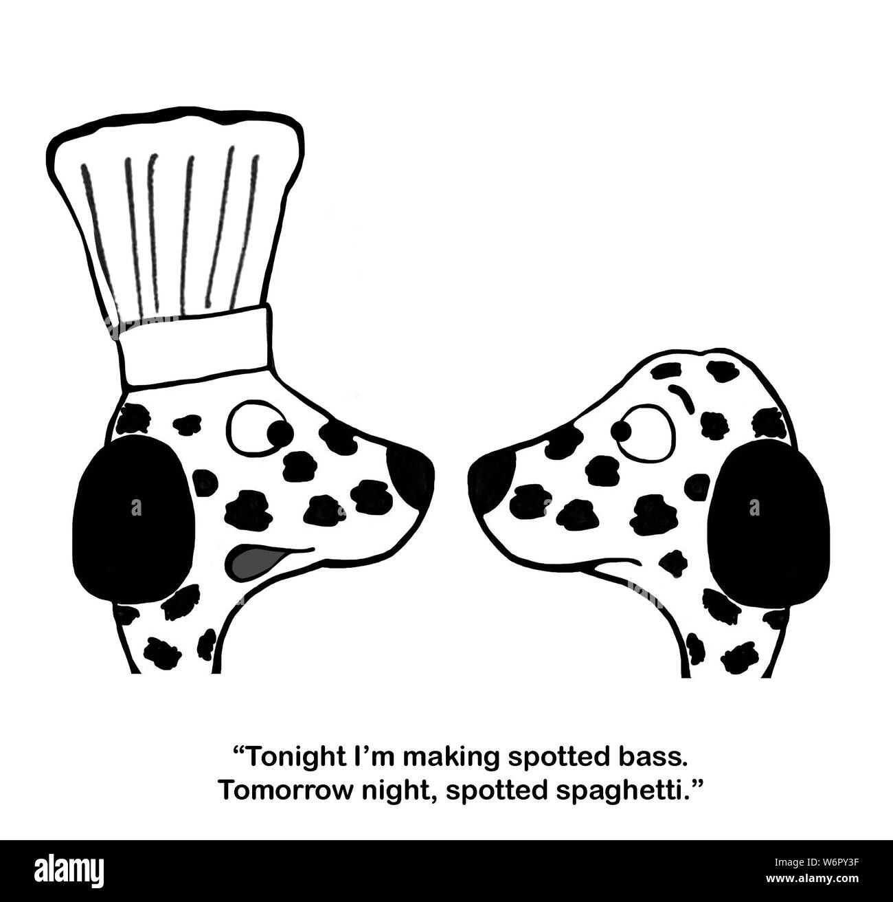 Dalmation chef likes to make food with spots Stock Photo