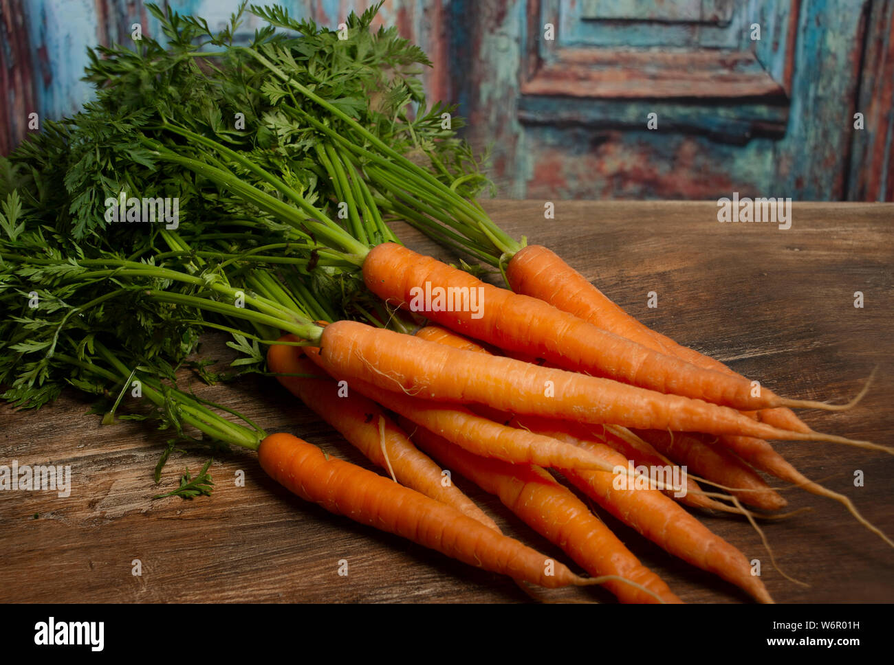 Freshly pulled juicy carrots from the farmhouse cottage garden. Stock Photo