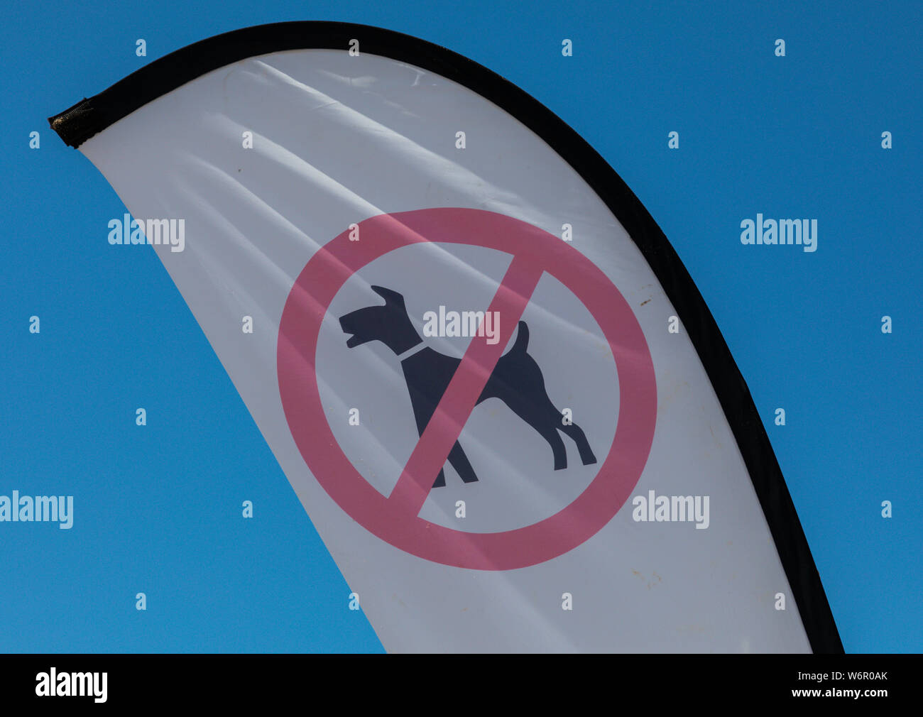 Close up image of beach sign indicating no dogs allowed on the beach