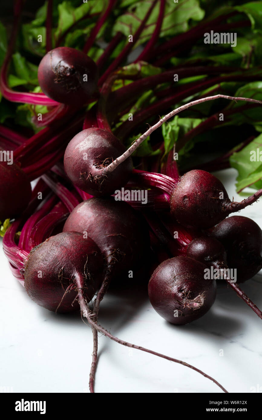 A washed bunch of baby beetroot on a marble tile surface. Stock Photo