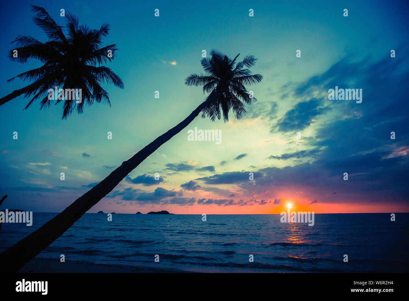 Silhouettes of tropical palm trees against a dusk blue sky. Stock Photo