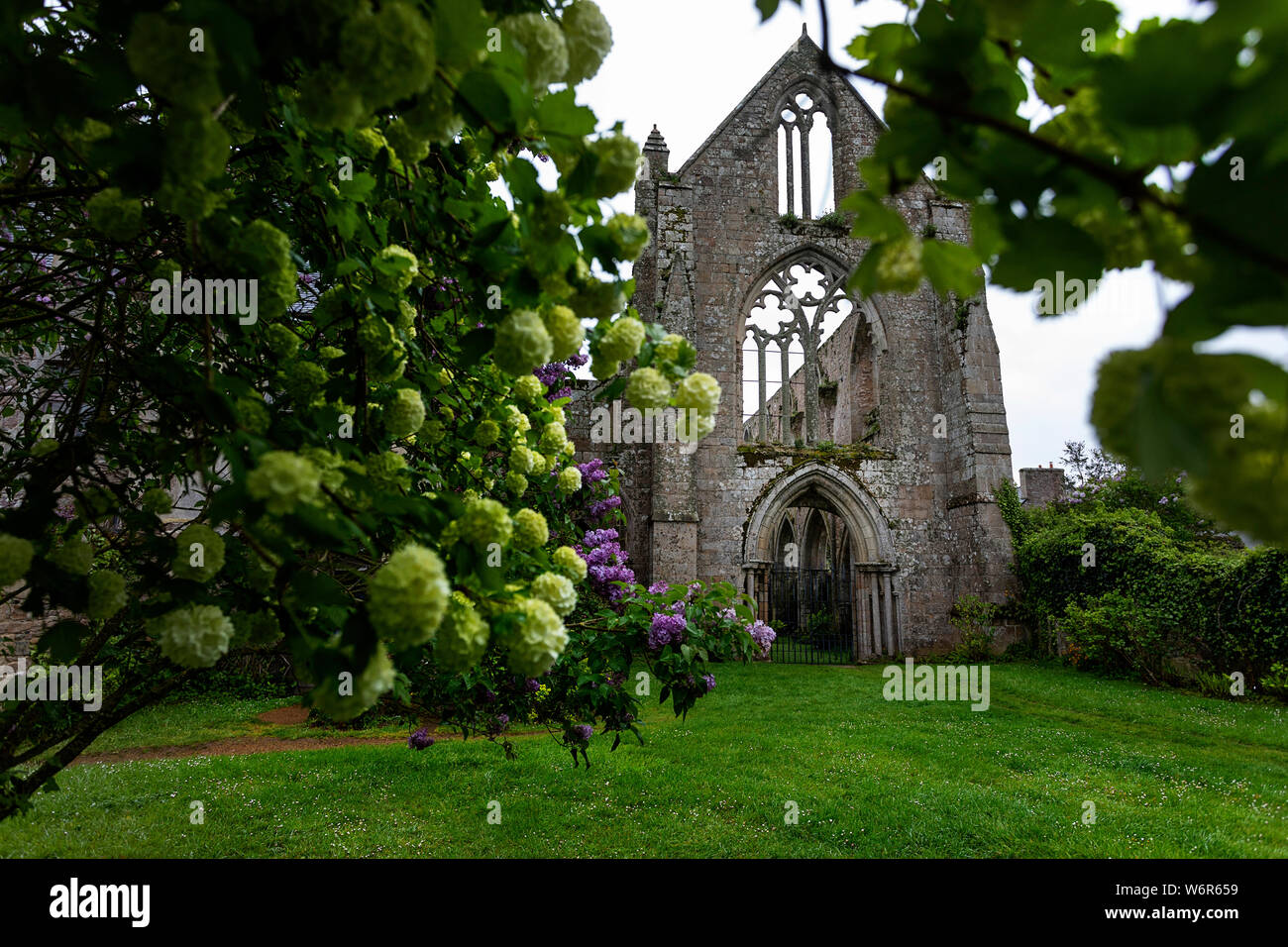 Ruins of the abbey of Beauport in Paimpol, Brittany, France Stock Photo
