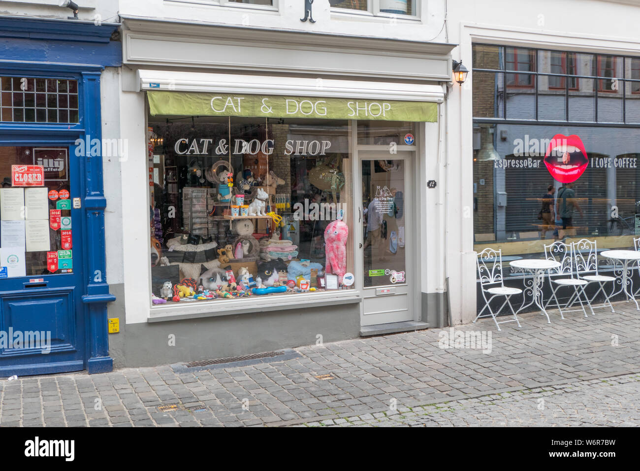 cat & dog shop