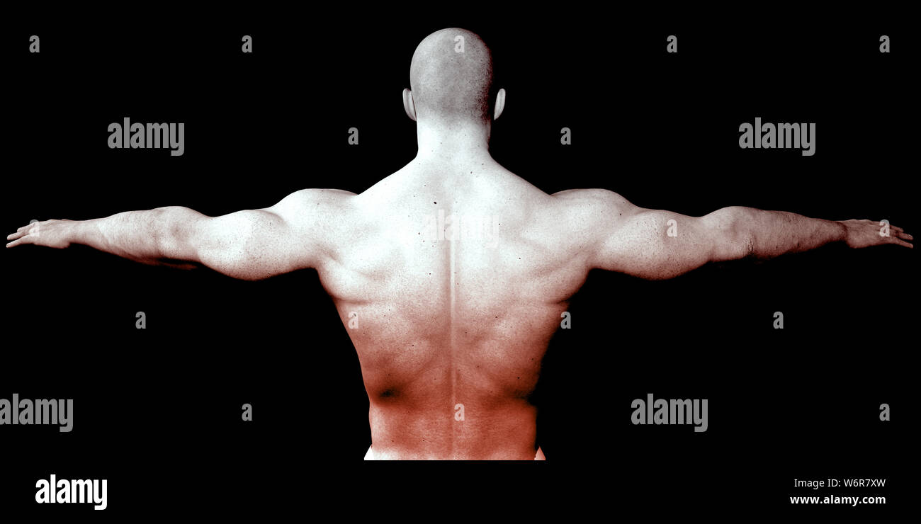 Human Body Presentation Background for Medical Anatomy Art Stock Photo ...