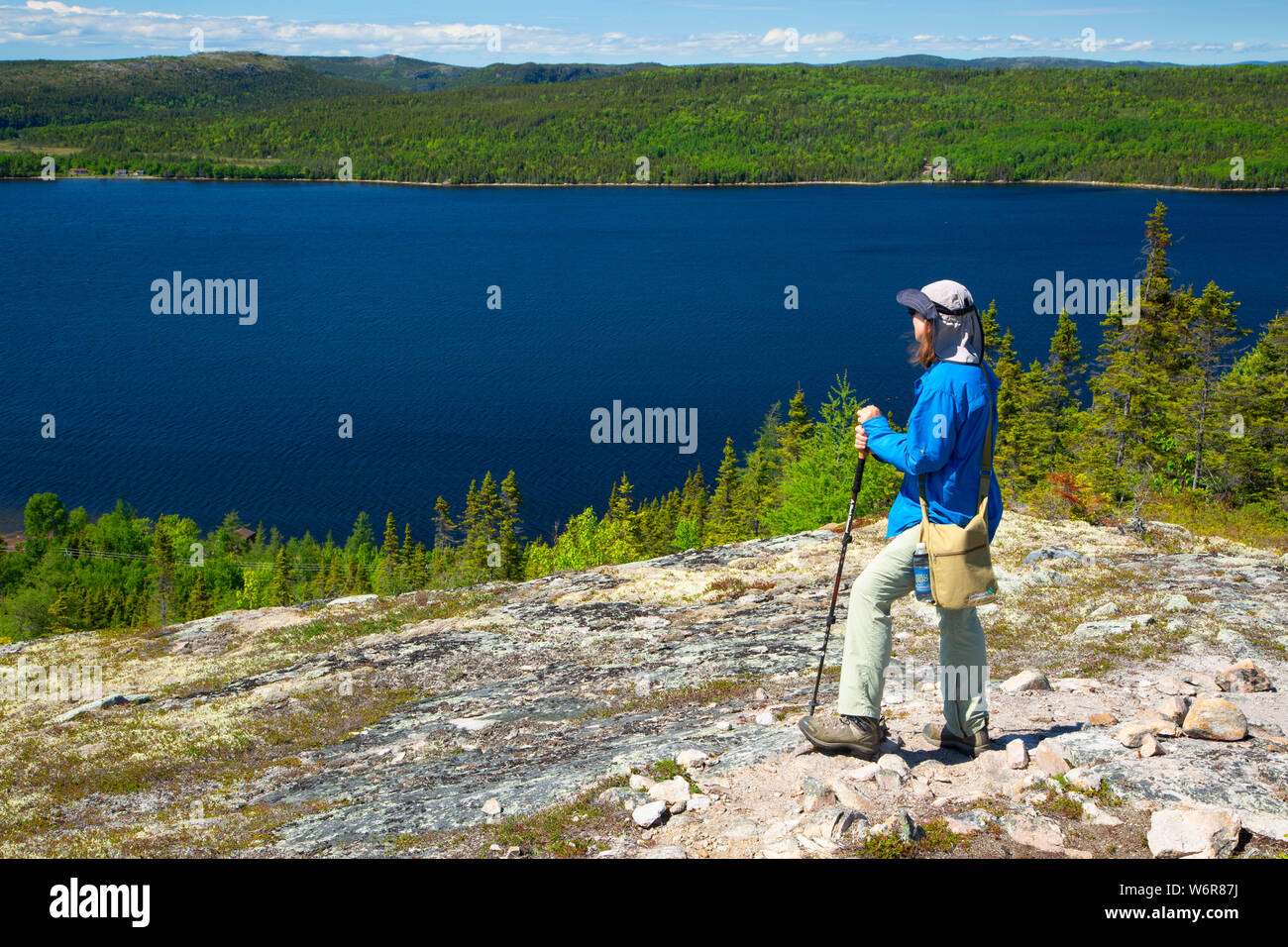 Northeast Arm view from Mill Cove Lookout Trail summit, Terra Nova