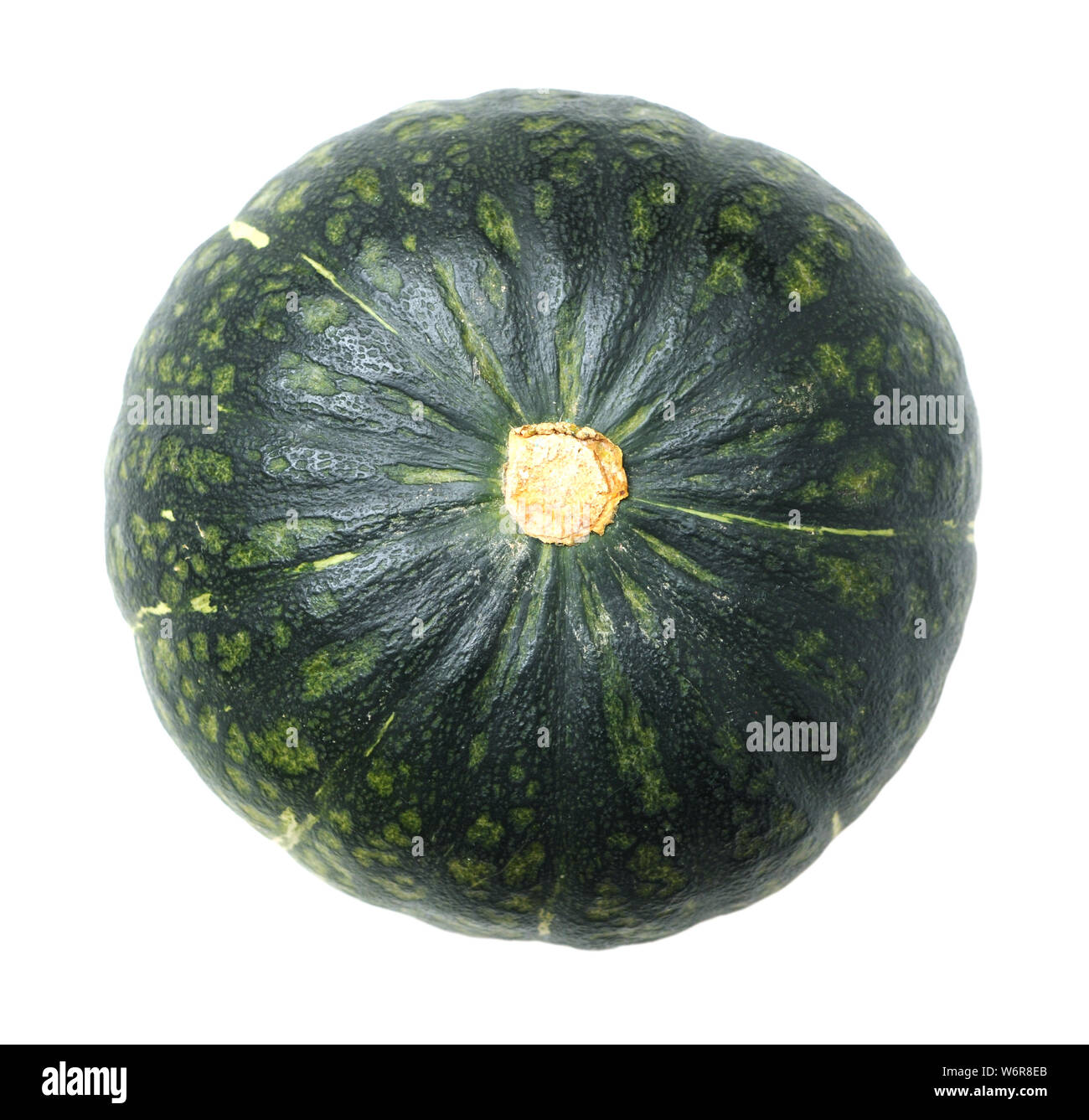 single pumpkin isolated on white background Stock Photo - Alamy