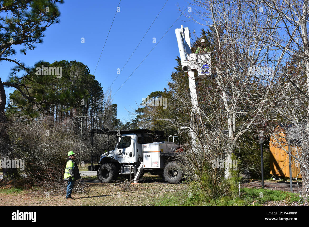 A crew trimming back tree limbs from power lines. Stock Photo