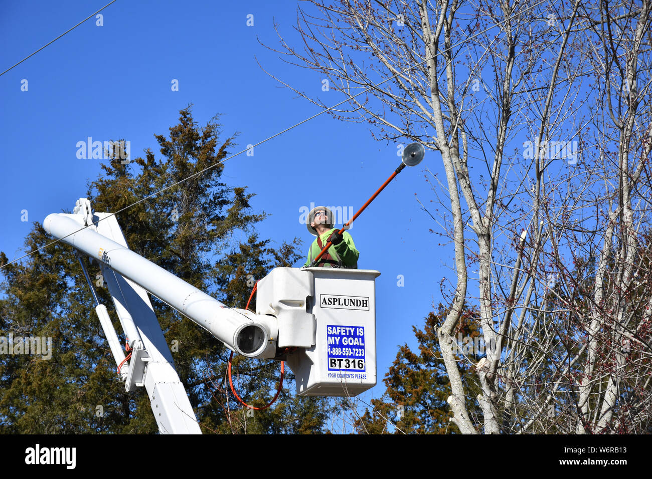A crew trimming back tree limbs from power lines Stock Photo Alamy