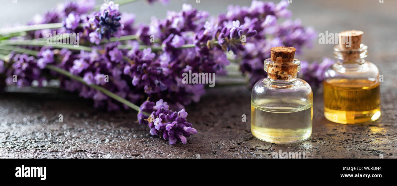 Panoramic header of essential oil bottles with fresh lavender flowers ...