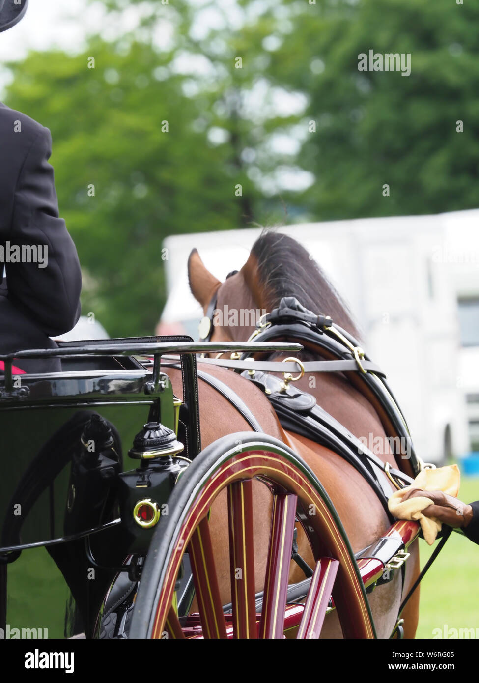 Trace harness hi-res stock photography and images - Alamy