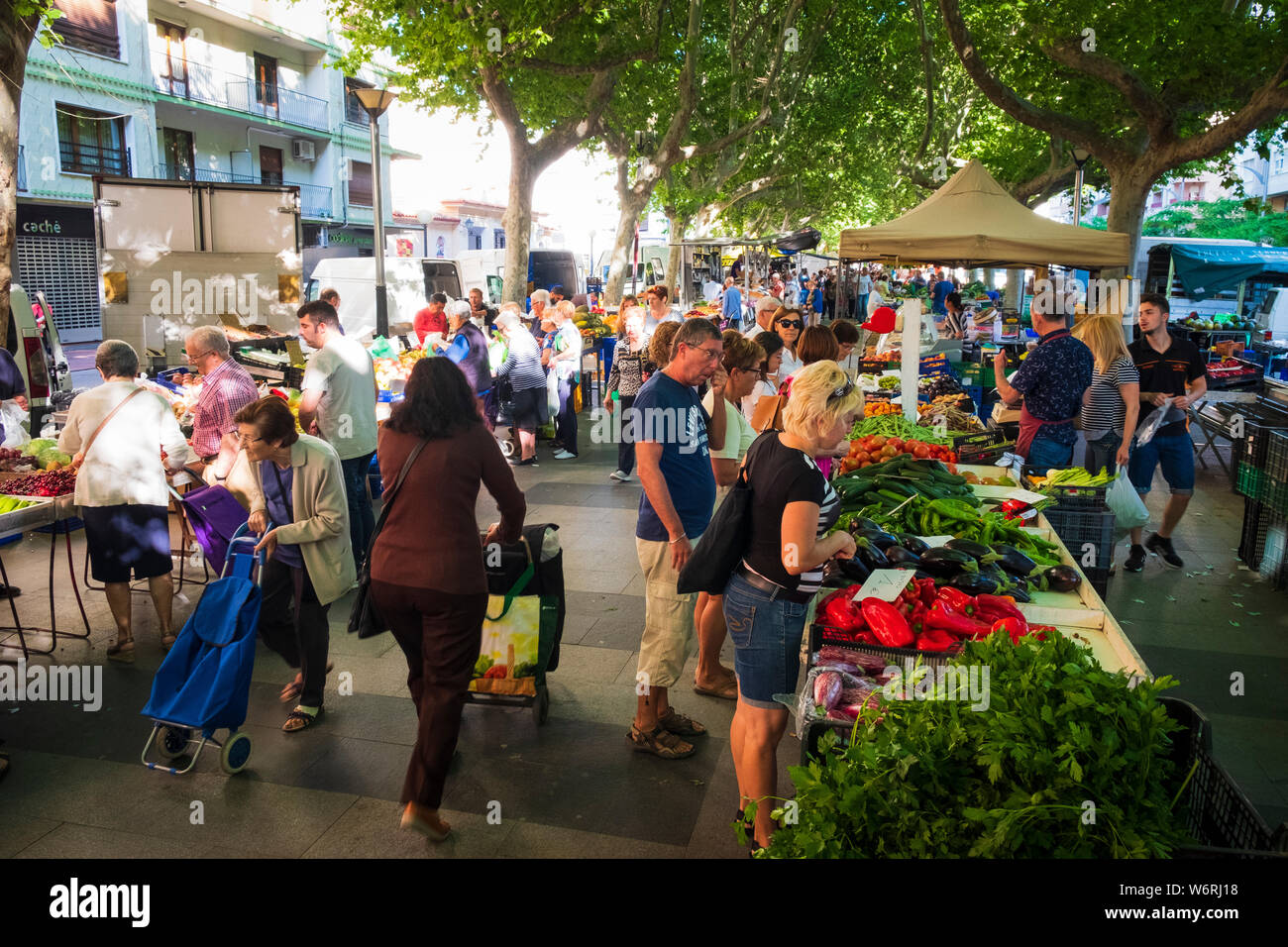 The vibrant weekly Friday market at Oliva in Spain Stock Photo Alamy