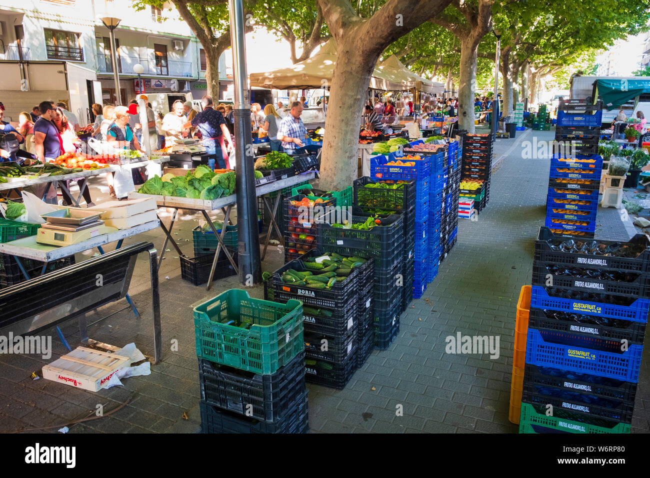 Fruit and vegetables stalls in the vibrant weekly Friday market at
