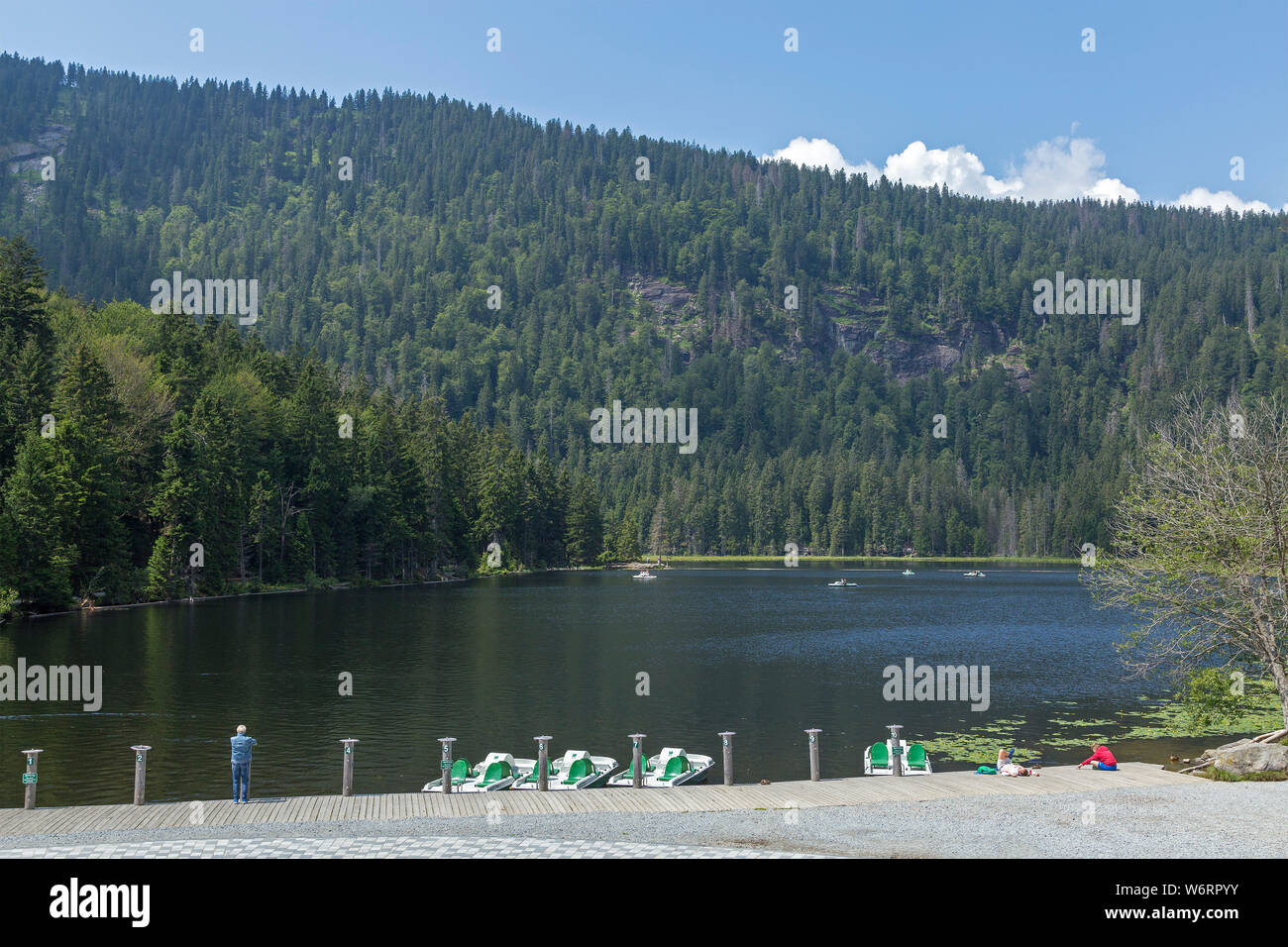 Big Lake Arber, Bayerisch Eisenstein, Bayerischer Wald, Bavaria, Germany Stock Photo