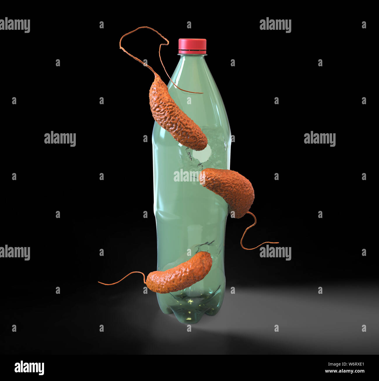 Ideonella sakaiensis hires stock photography and images Alamy