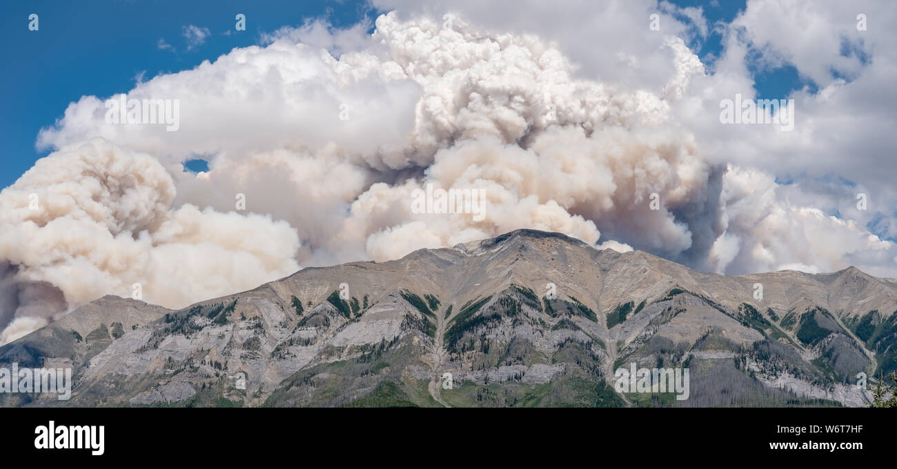 Forest Fire Smoke on Mount Shank in Kootenay National Park, British ...