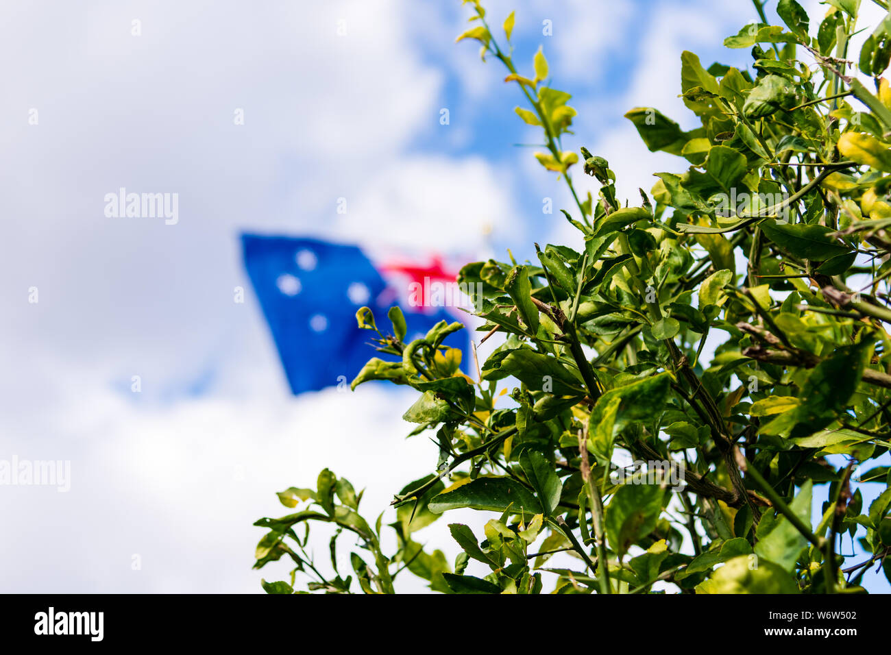 The Australian on a Flag Pole with a bush in the foreground. Stock Photo