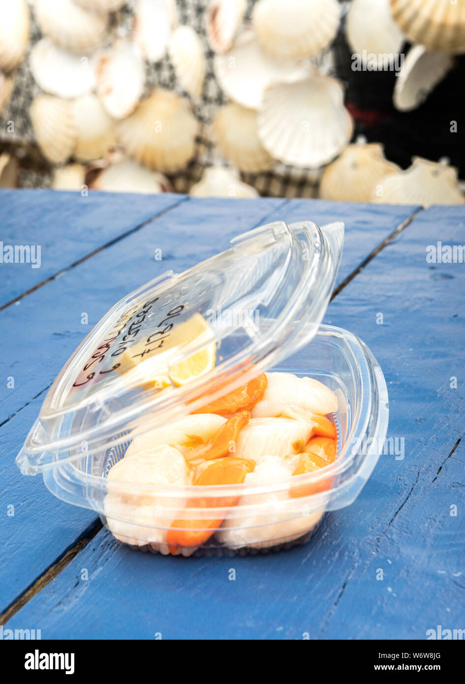 fresh raw scallops in a plastic box for take away Stock Photo