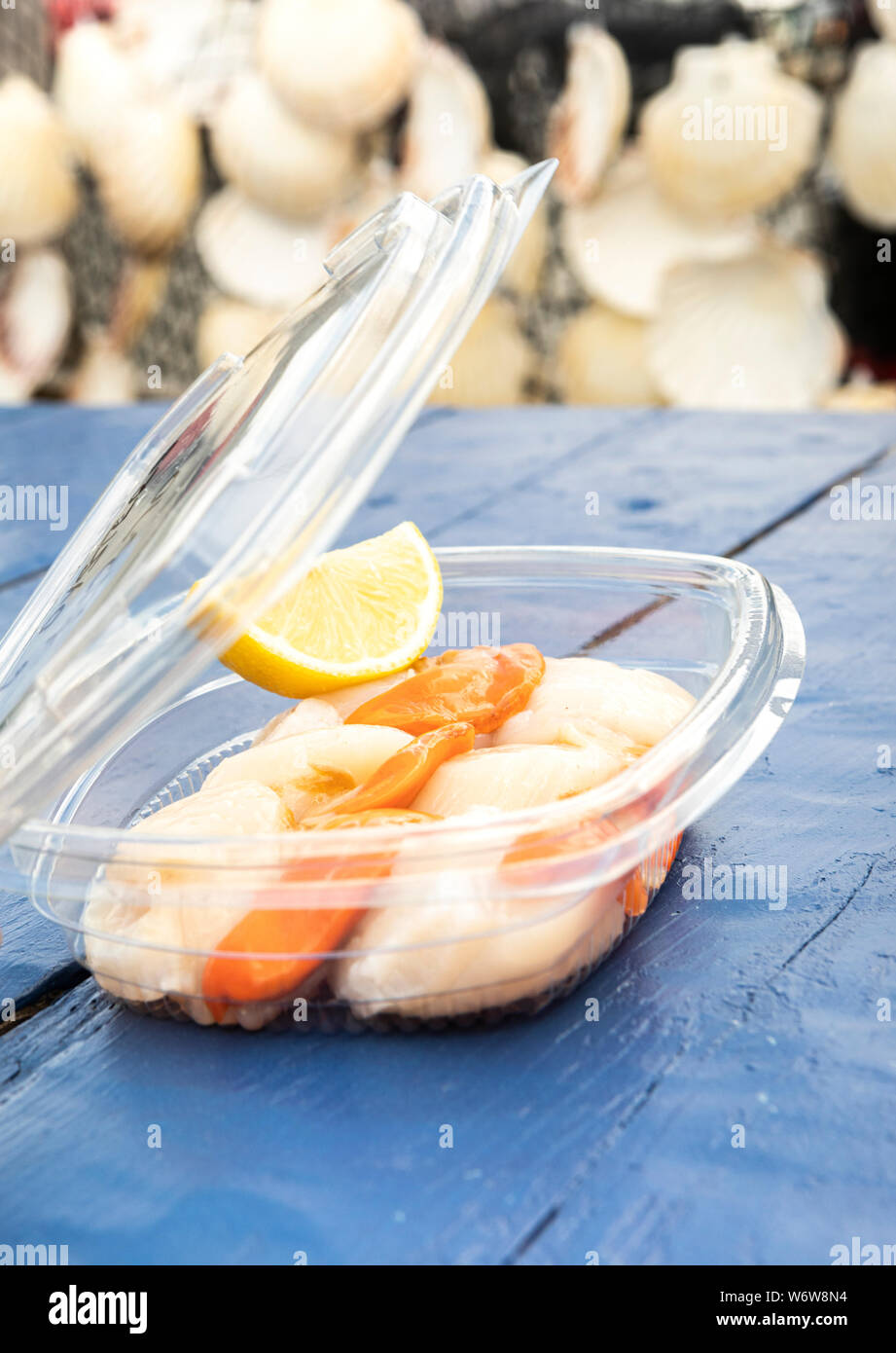 fresh raw scallops in a plastic box for take away Stock Photo