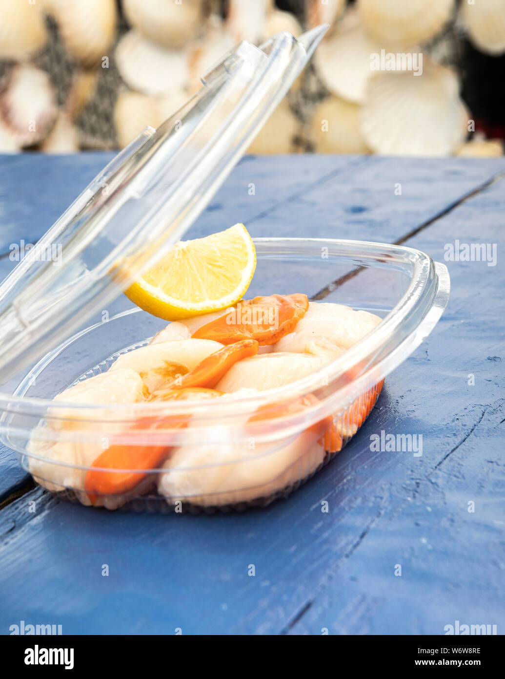 fresh raw scallops in a plastic box for take away Stock Photo