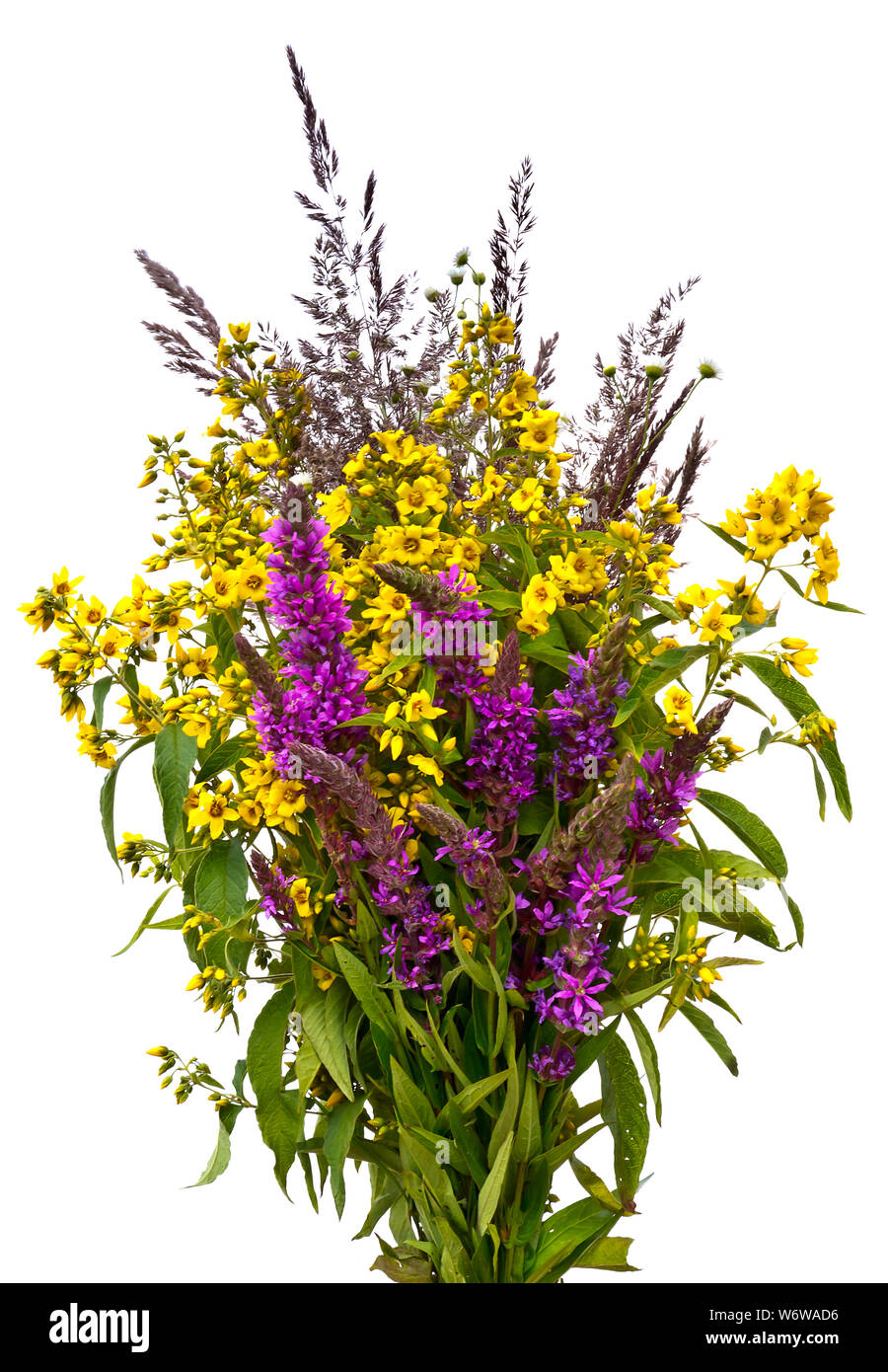 Bouquet of wild flowers on white background Stock Photo - Alamy