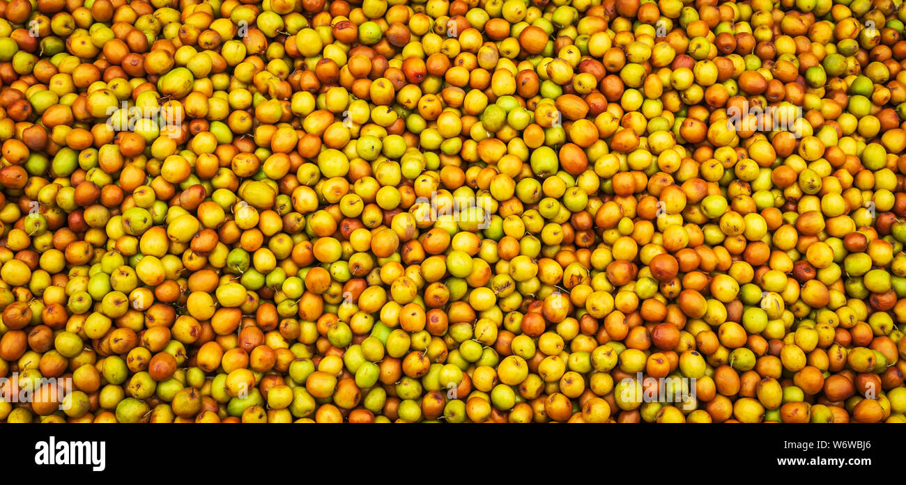 Jujube Fruit Bair Fruit or chinee apple Stock Photo - Alamy