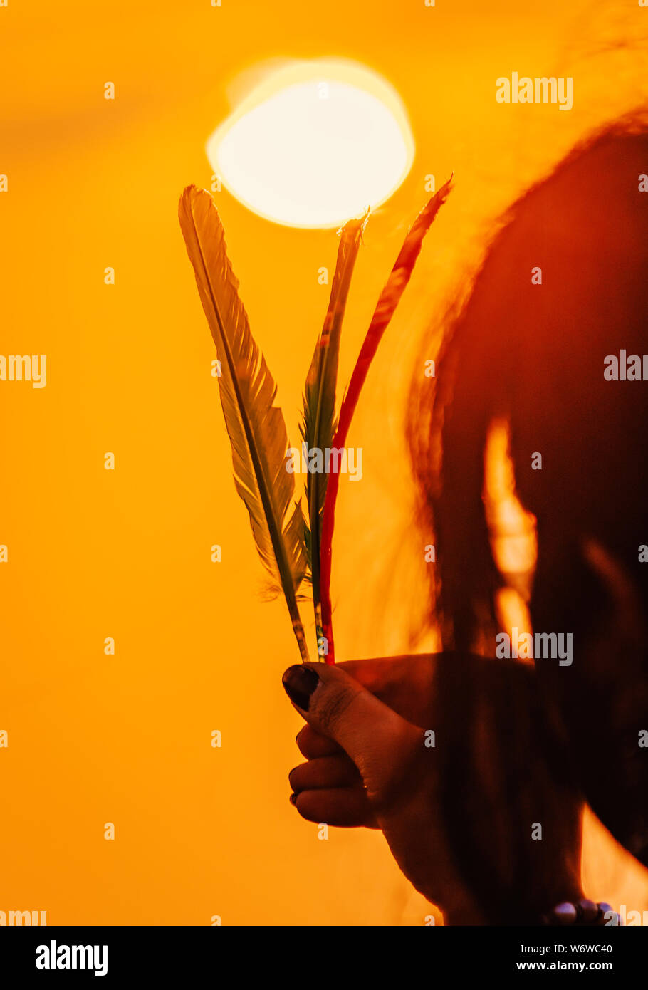 Feather/wing raised up in sky during sunset. sun in background sunset