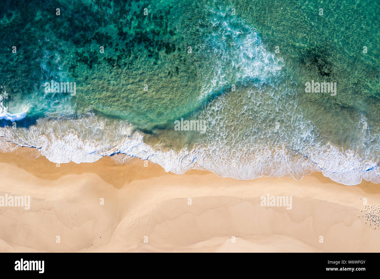 Aerial top down view of Nobbys Beach in Newcastle NSW Australia. Located adjacent to the CDB area it is one of Newcastle's most attractive beaches. Stock Photo