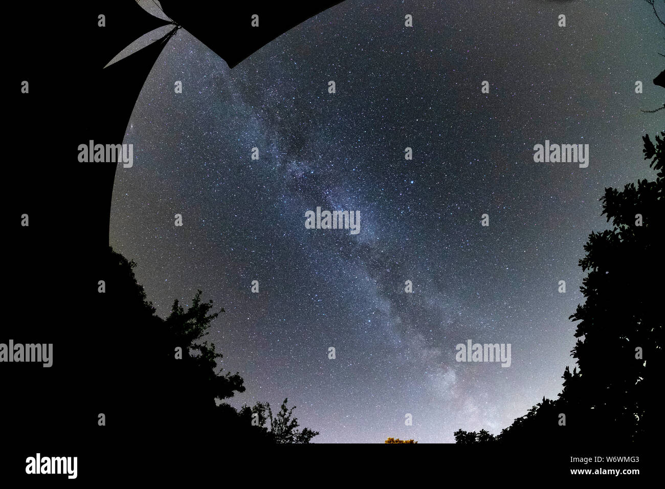 Sablet, The Vaucluse, France. 3rd August 2019. Clear dark skies in southern France show the Milky Way appearing brightly in the night sky above the garden of a village house. Credit: Malcolm Park/Alamy Live News. Stock Photo