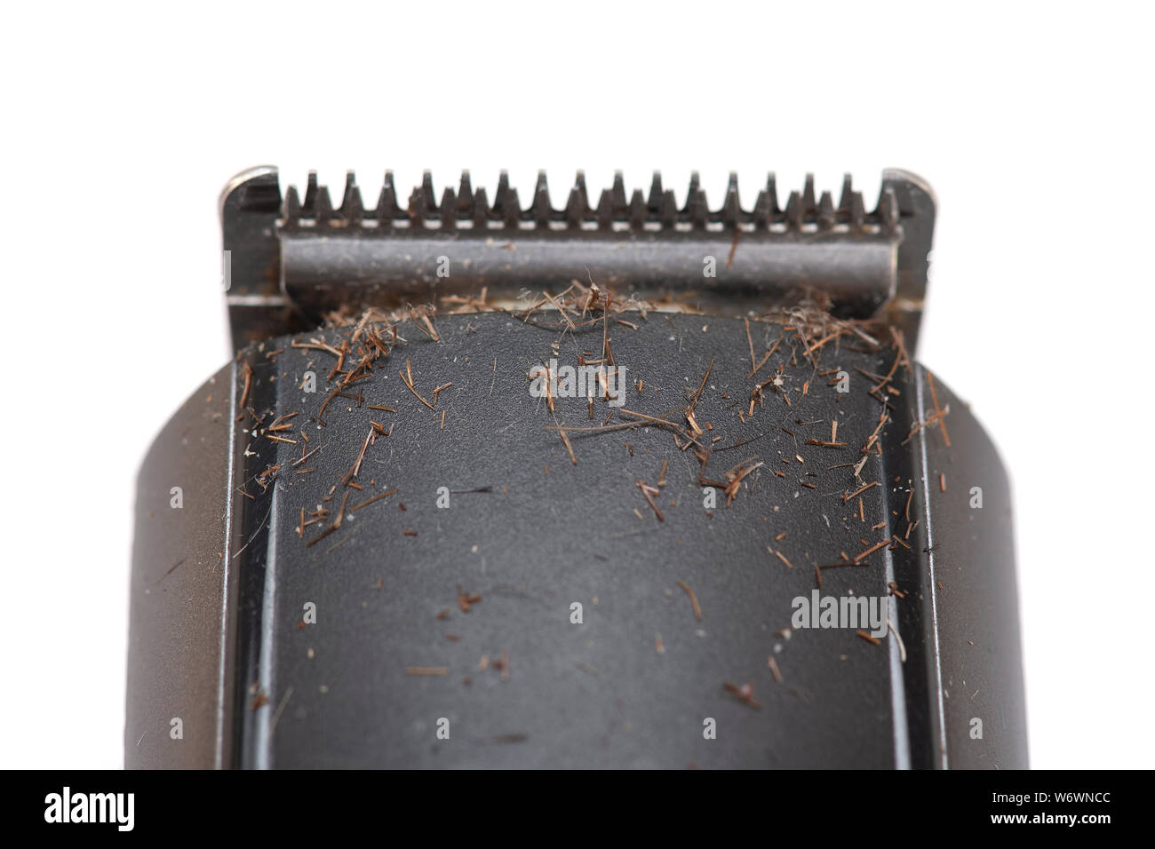 Wet messy hair hi-res stock photography and images - Alamy
