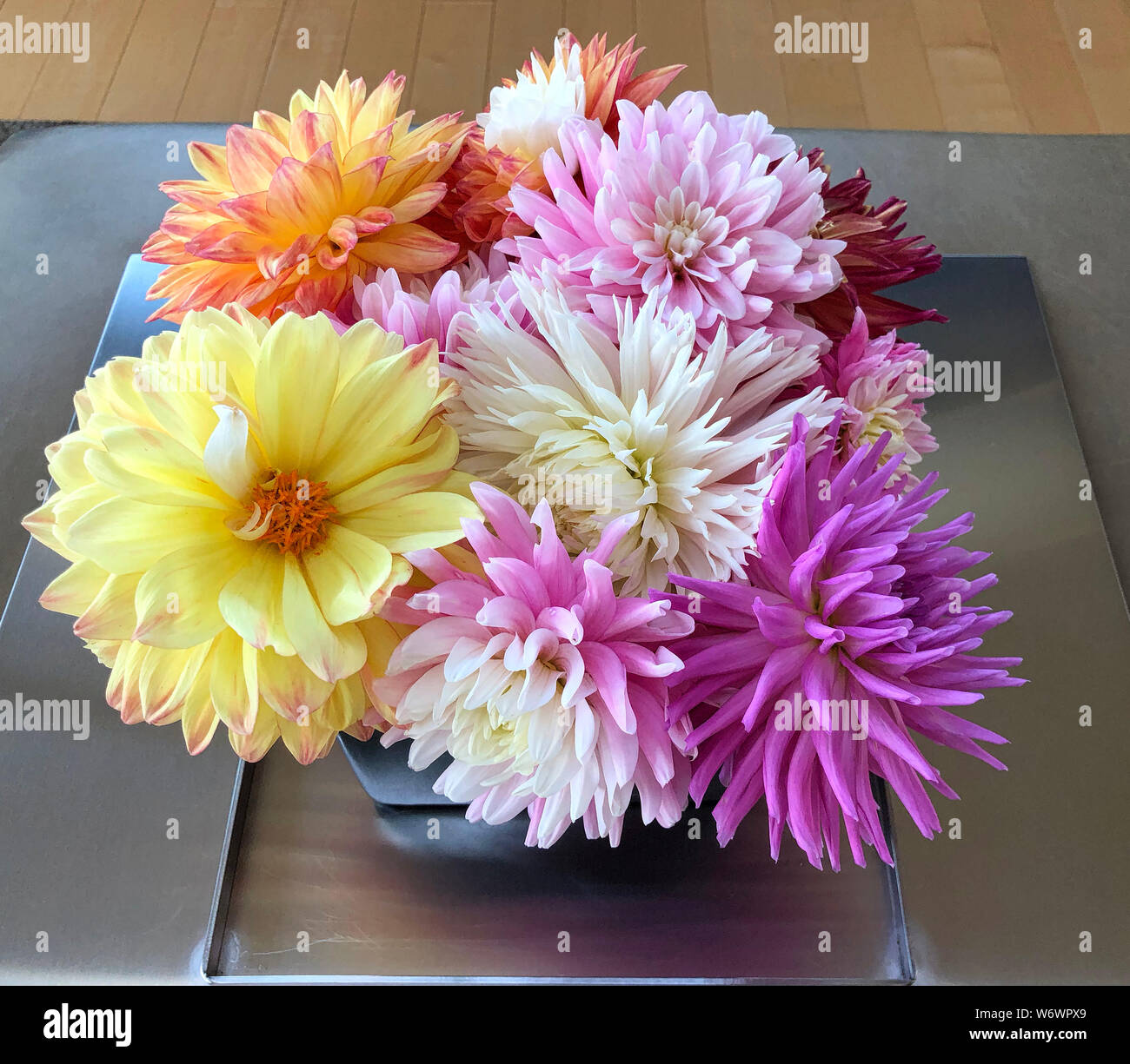 Cut Dahlias High Resolution Stock Photography and Images - Alamy