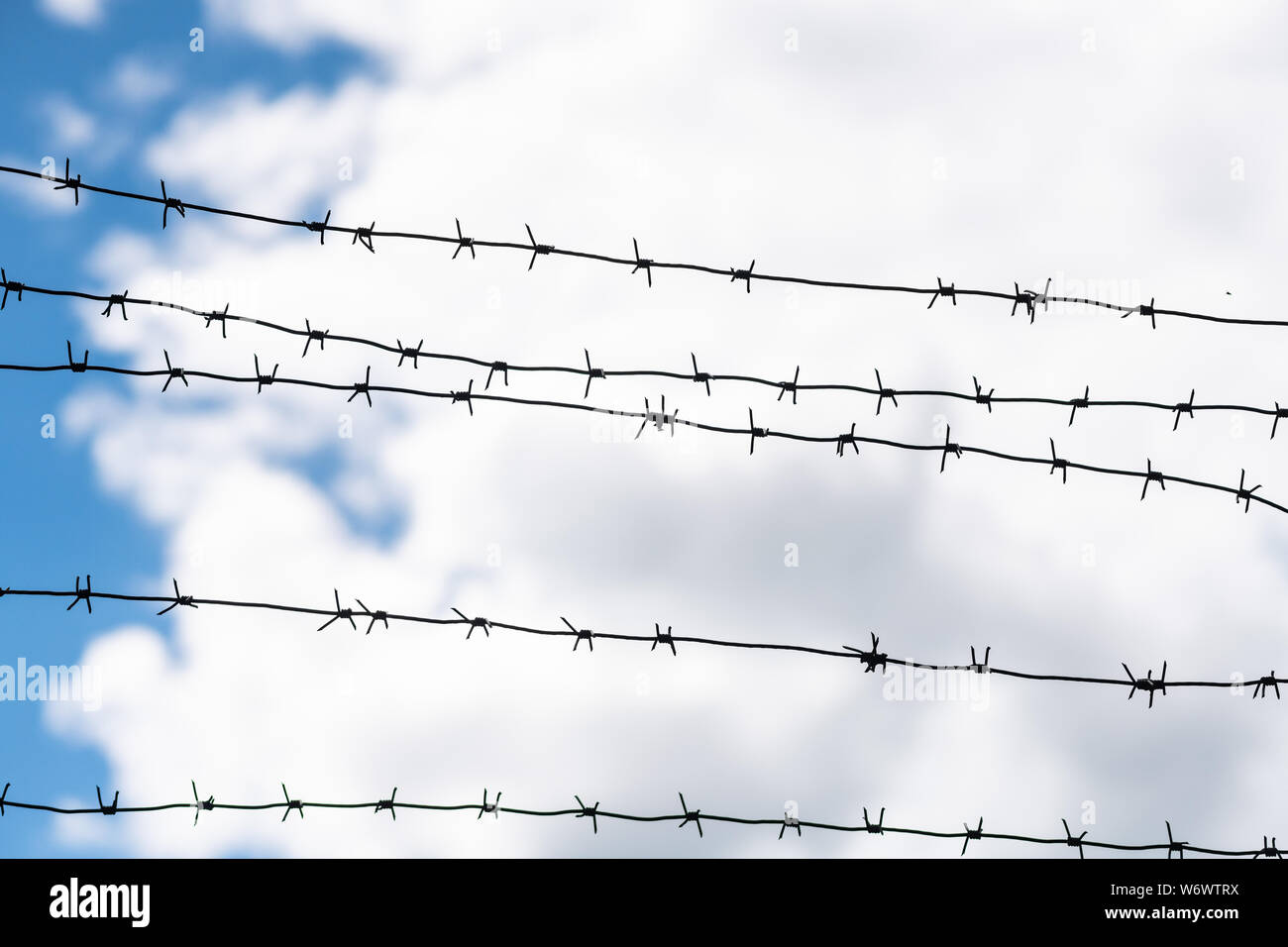 Barbed wire on country border. Barbwire on fence for prohibition of