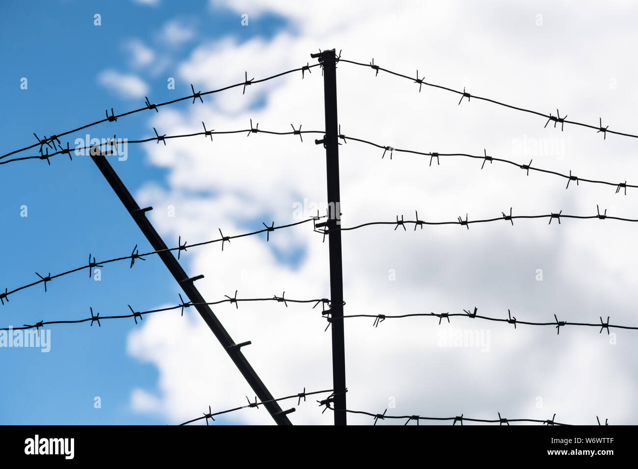 Barbed wire on country border. Barbwire on fence for prohibition of