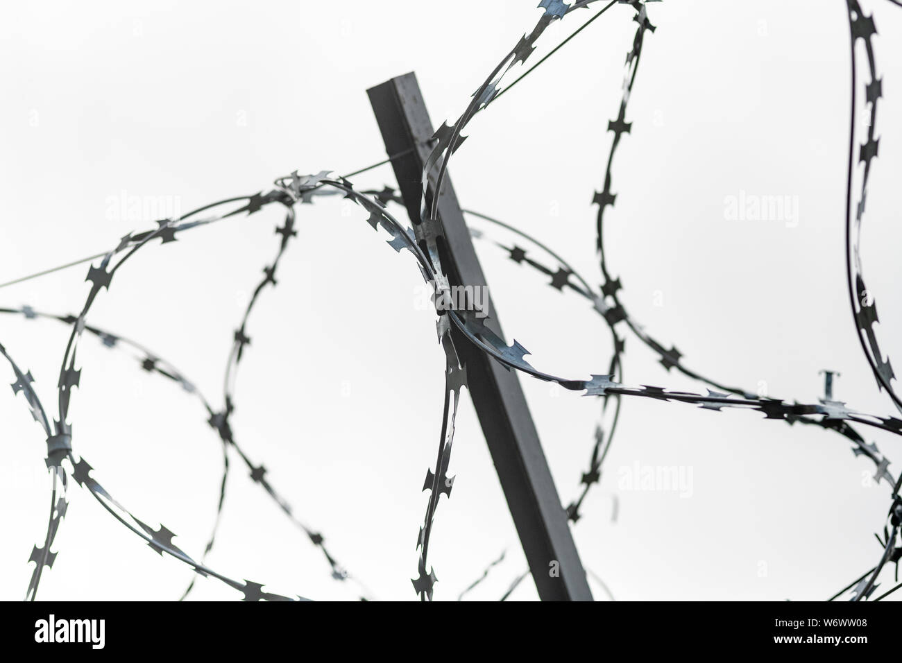 Barbed wire on country border. Barbwire on fence for prohibition of