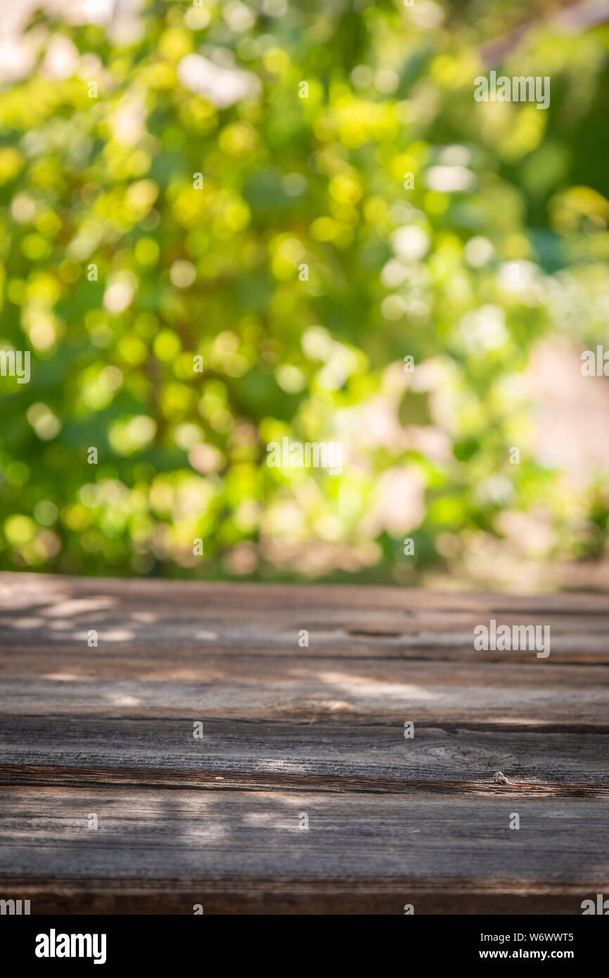 Empty old table in summer garden as blurred background Stock Photo Alamy