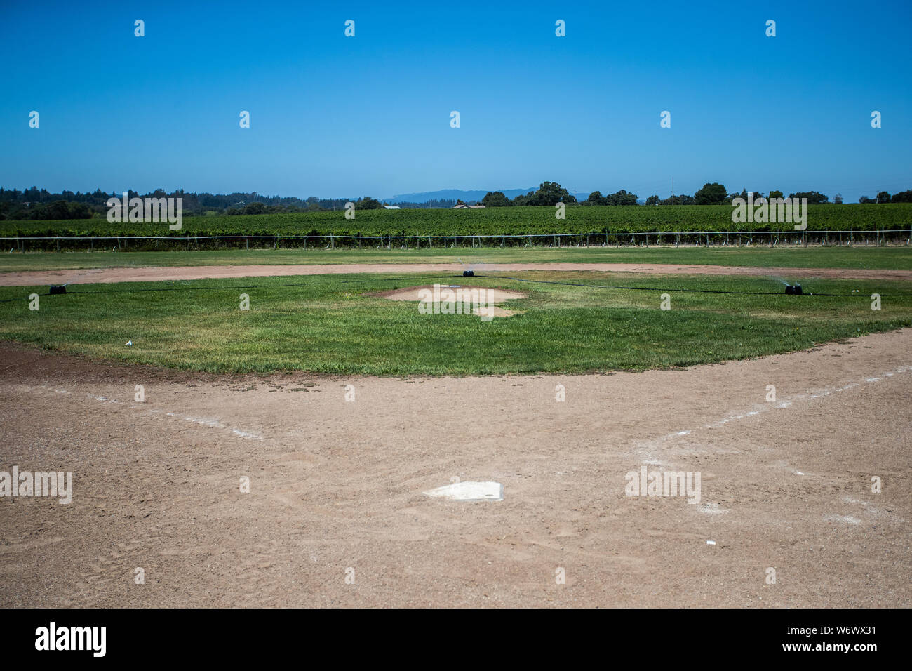 The 'Field of Dreams'. A baseball field built within the vineyards at Balletto Winery, Sonoma County, California. Stock Photo