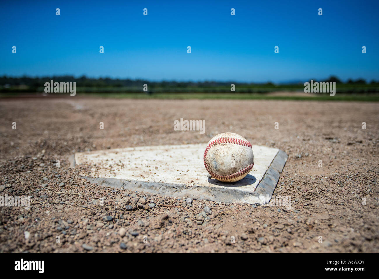 The 'Field of Dreams'. A baseball field built within the vineyards at