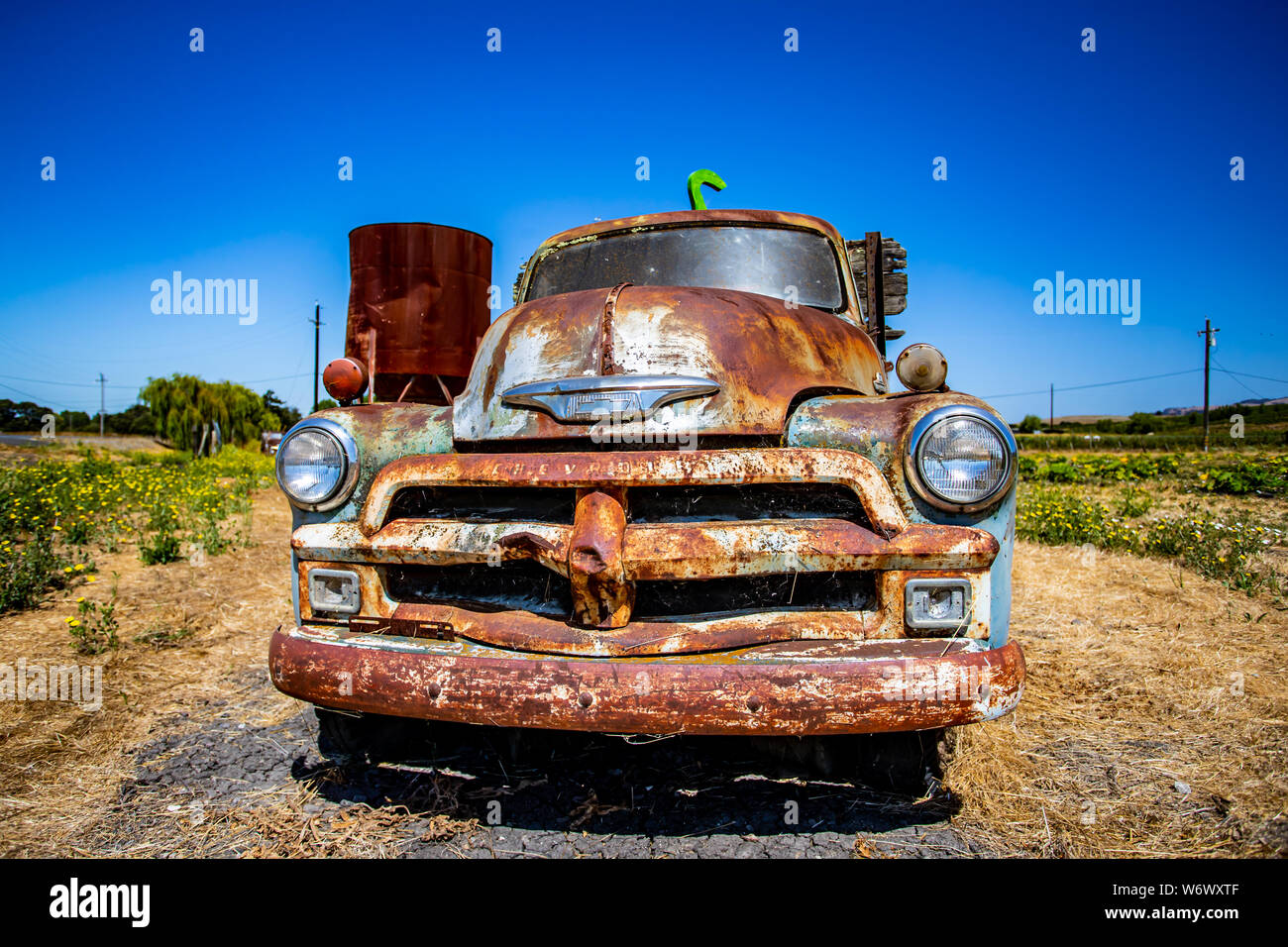 Abandoned old trucks are left in fields along Adobe Road, Sonoma, California Stock Photo