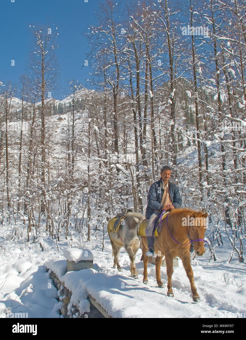 Solang Valley in Winter, Manali, Himachal Pradesh, India Stock Photo