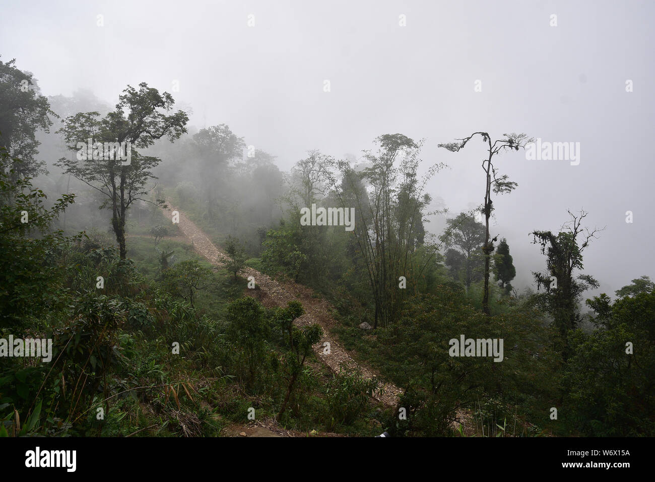 Himalayan landscapes, Jhandi, Kalimpong, West Bengal, India Stock Photo