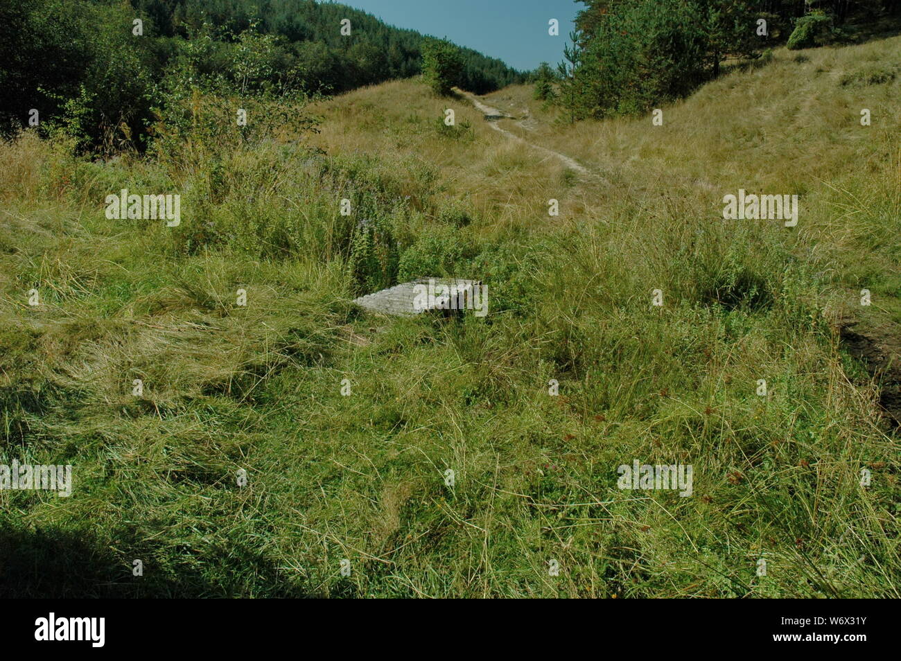 Landscape at Plana mountain region in Bulgaria Stock Photo