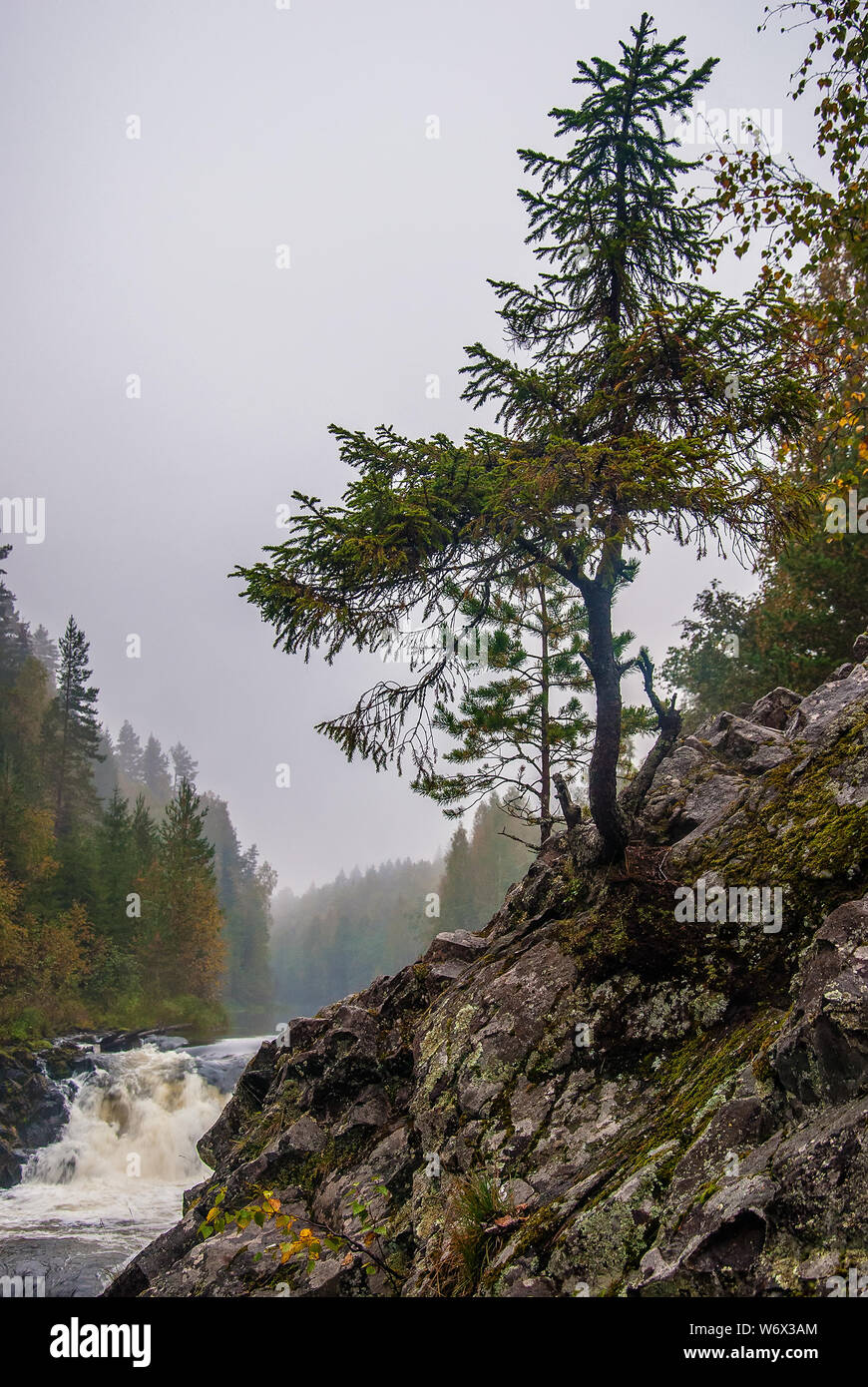 Kivach waterfall in Karelia, Russia. Nature landscape of the Russian north Stock Photo