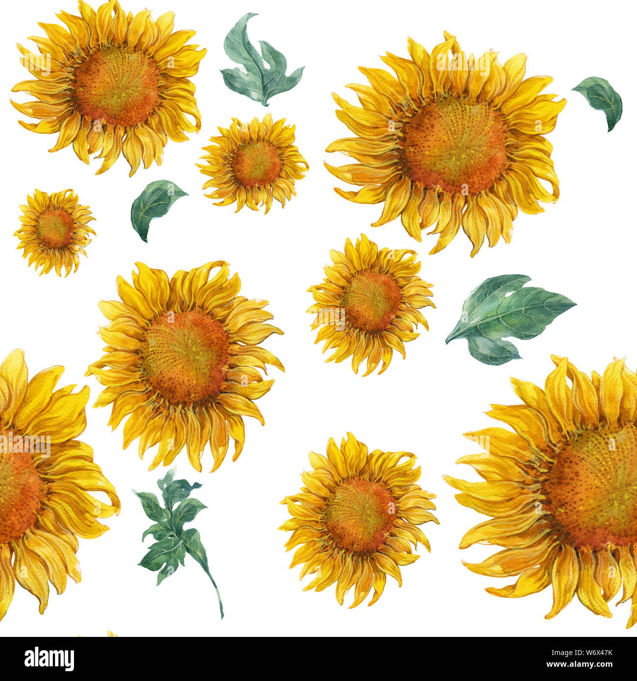Sunflower watercolor painting hires stock photography and images Alamy